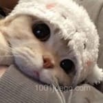 Avatar de Viviana Mármol